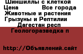 Шиншиллы с клеткой › Цена ­ 8 000 - Все города Животные и растения » Грызуны и Рептилии   . Дагестан респ.,Геологоразведка п.
